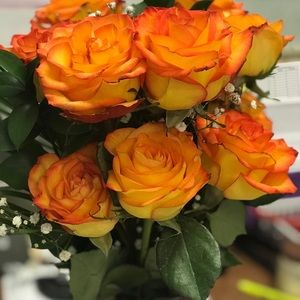 Meet your Posher, Vicky